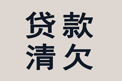 囊谦催帐公司